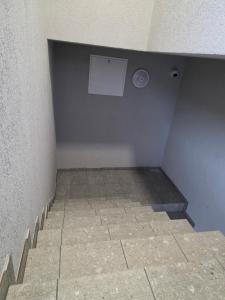 Jaukus butas Panemunėje su vaizdu į Nemuną