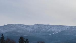 LUNA Luxury Apartments - apartamenty z sauną i jacuzzi