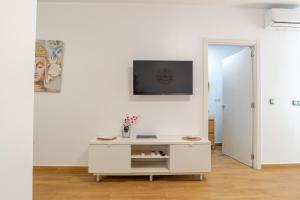 StS-2 Pet Friendly Playa