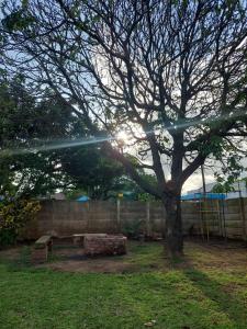 Turtle Creek - Ridleys