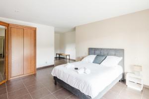 Beautiful contemporary villa 160 m with pool