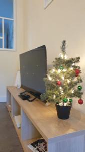 Oasis Tropicale - Appartement Cosy et Calme à 10 min de la Gare de Roanne