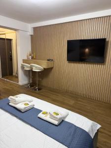 Andreea s Apartment 2