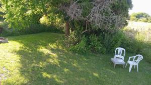 Cabaña entre molles