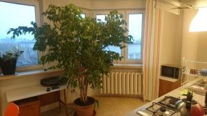 Z widokiem na EC1 i Teatr Wielki, parking