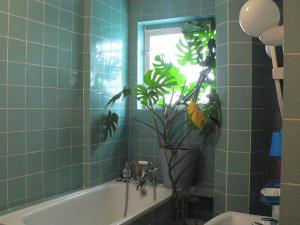 Z widokiem na EC1 i Teatr Wielki, parking