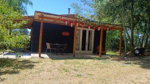 Las palmeras de Colbún