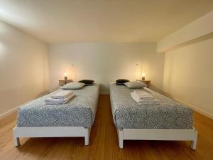 Terrace Loft near Porto Center