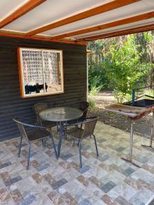 Las palmeras de Colbún