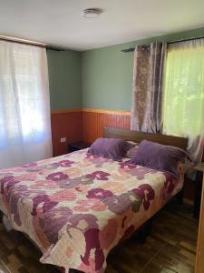 Las palmeras de Colbún