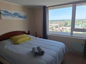 Cómodo y confortable departamento central en Osorno