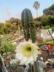 Rifugio Storico sul Mare