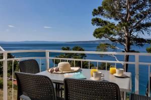 Pine Canopy Studios and Apartments