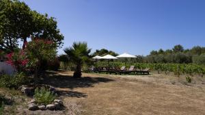 SERRA E MESU Affittacamere img94