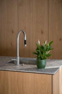 Design Apartment Carina