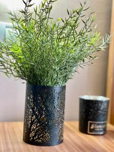 Cozy Caramel Studio Ultracentral Old Town