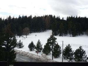 Appartement cosy 2 pièces cabine, proche commerces et pistes, 6 pers, animaux OK - FR-1-592-20