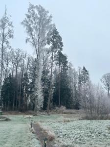 Kuldallika igloo house and iglusauna