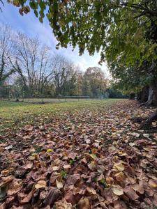 Studio Chateau Saint Corneille - Parc Asterix 15 min - Base Nautique Verberie