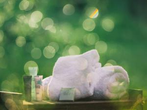 Courchevel 1550 : Appart cosy 4 pers, animaux OK, accès SPA - FR-1-631-229