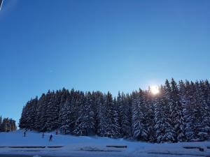 Studio Courchevel 1850 - 4 pers - Pieds des pistes avec parking couvert - FR-1-631-142