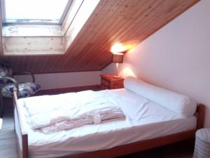 Duplex 3 Pièces avec Piscine à Saint-Jean-dAulps, 6 Pers - FR-1-573-25