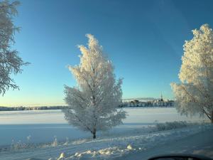 Scandic style apartment Katajaranta