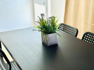 Apartamento gourmet com quintal