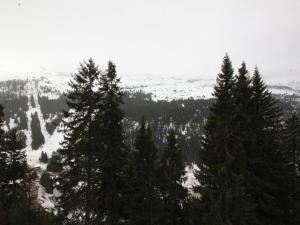 Studio lumineux avec balcon et vue sur pistes, animaux admis - FR-1-687-61