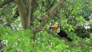 Casinha Charmosa & Rústica