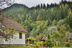 Автентичний Лофт Апартамент в Карпатах