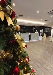 MICHELINO 75 by the Sydney Hotel