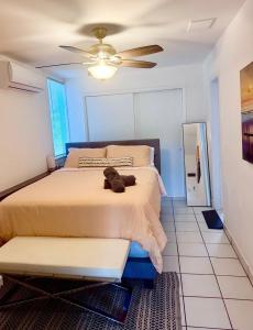 Quiet Miami Stay Perfect for Work, Relax, or party