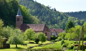 Maisons de vacances Le Gite de l'Ecureuil : photos des chambres