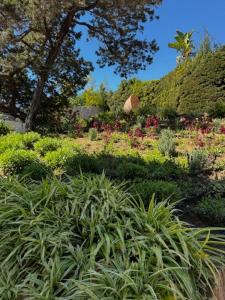 Marbella Bliss - Luxury 4-Bedroom VILLA with Garden, Private POOL & Jacuzzi, Marbesa near- 5 min to the Cabopino Beach