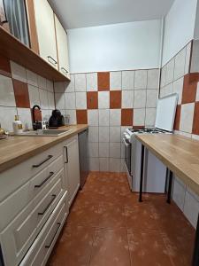 Alexia Residence Craiova