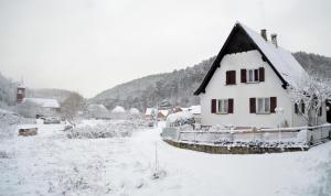 Maisons de vacances Le Gite de l'Ecureuil : photos des chambres