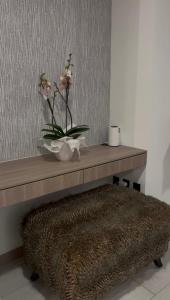 Spectacular Studio por estrenar