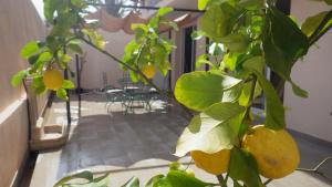 Appartements Casa di a Murza : photos des chambres