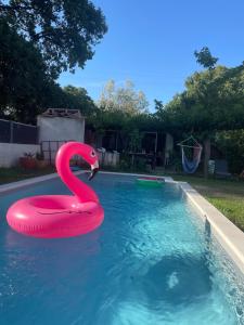 Studio with pool and quiet, non-shared garden, 1 lit double