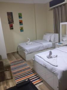 Flamingo pyremids guest house