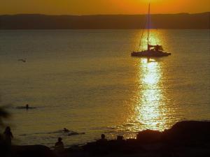 Pineta Spiaggia Grande img35