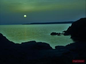 Pineta Spiaggia Grande img34