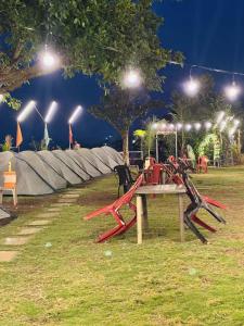 Mid Night Camping- Pawna Lake