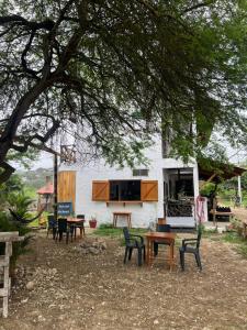 El Turista - MOON ST