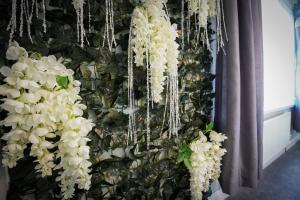 Cosy home with parking sleeps 5 near Centre & Bay