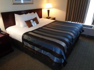 King Room - Disability Access/Non-Smoking room in Wingate by Wyndham Destin
