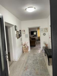 Grandma Guest house at Criseni