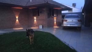 Chalet constitución