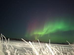 Arctic Lake Aurora house,Sevettijärvi